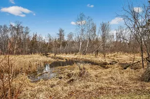 6845 175th Ave NW, Ramsey, MN 55303 - Photo 43