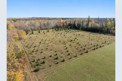 Tbd State 64, Akeley, MN 56433 - Photo 7