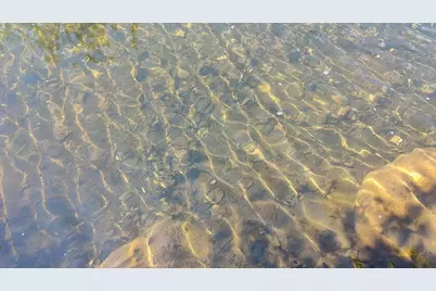 80064 Osprey Pass, Tower, MN 55790 - Photo 49