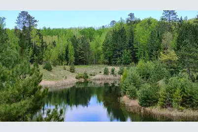 80064 Osprey Pass, Tower, MN 55790 - Photo 5