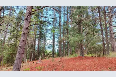 80064 Osprey Pass, Tower, MN 55790 - Photo 13