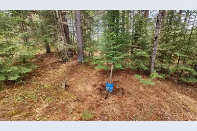 80064 Osprey Pass, Tower, MN 55790 - Photo 1