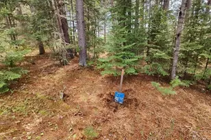 80064 Osprey Pass, Tower, MN 55790 - Photo 1