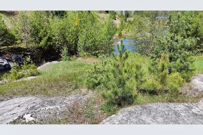 80036 Sweet Fern Loop, Tower, MN 55790 - Photo 3