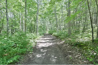 9036 Ashtons Way, Webster, WI 54893 - Photo 3