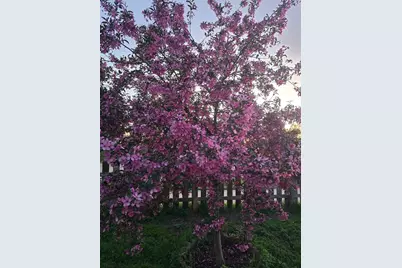 162 Sioux Street, Winona, MN 55987 - Photo 25