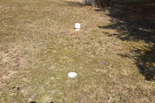 10597 Hwy 23, Orr, MN 55771 - Photo 45