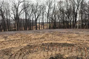 2987 154th Ln NE, Ham Lake, MN 55304 - Photo 1