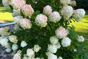 6790 N Cullen Loop, Pequot Lakes, MN 56472 - Photo 25