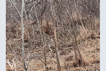 Tbd 190th Ave, Pelican Rapids, MN 56572 - Photo 7