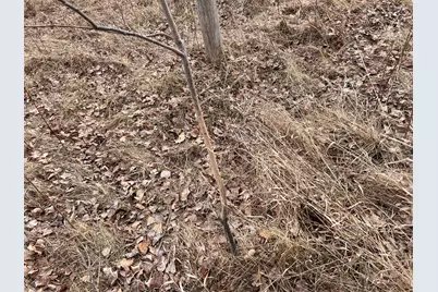 Tbd 190th Ave, Pelican Rapids, MN 56572 - Photo 23