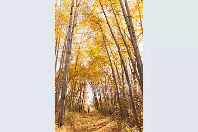 Tbd 190th Ave, Pelican Rapids, MN 56572 - Photo 5