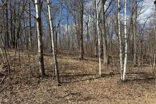 18958 Sugarbush Cir, Garrison, MN 56450 - Photo 27