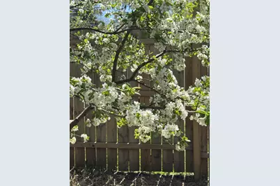 866 Wheeler Street N, Saint Paul, MN 55104 - Photo 23