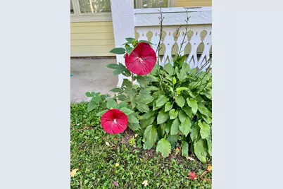 40586 Blair Way, Wahkon, MN 56386 - Photo 11