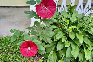 40586 Blair Way, Wahkon, MN 56386 - Photo 11