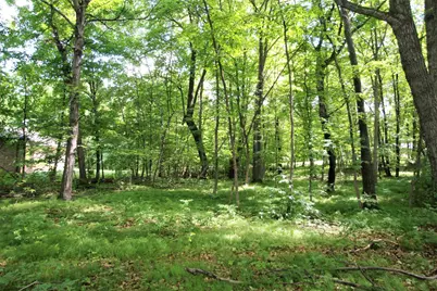 4967X Fish Lake Road, Pelican Rapids, MN 56572 - Photo 11