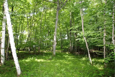 4967X Fish Lake Road, Pelican Rapids, MN 56572 - Photo 1