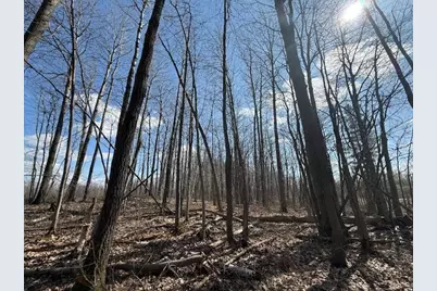 Xxx Old Highway 63, Barronett Township, WI 54871 - Photo 35