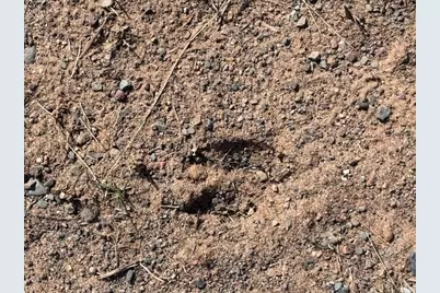 Xxx Old Highway 63, Barronett Township, WI 54871 - Photo 45