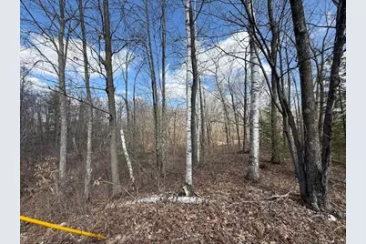 Xxx Old Highway 63, Barronett Township, WI 54871 - Photo 27