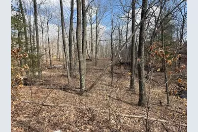 Xxx Old Highway 63, Barronett Township, WI 54871 - Photo 29