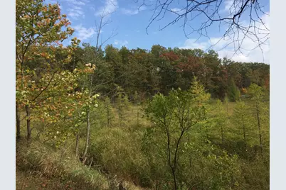 Xxx Old Highway 63, Barronett Township, WI 54871 - Photo 11