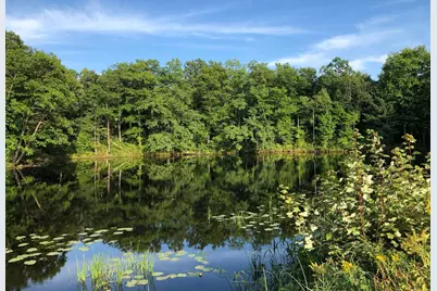 Xxx Old Highway 63, Barronett Township, WI 54871 - Photo 3