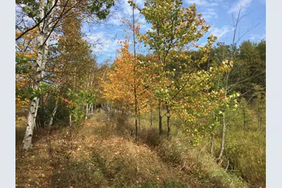 Xxx Old Highway 63, Barronett Township, WI 54871 - Photo 5