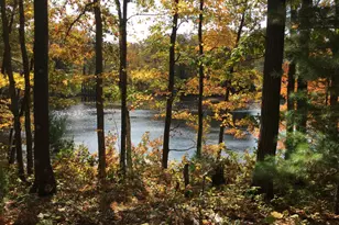 Xxx Old Hwy 63, Barronett Township, WI 54871 - Photo 1