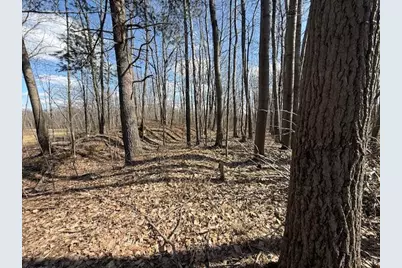 Xxx Old Highway 63, Barronett Township, WI 54871 - Photo 39