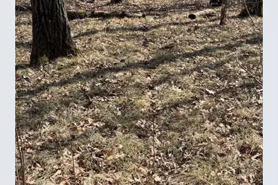 Xxx Old Highway 63, Barronett Township, WI 54871 - Photo 37