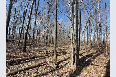 Xxx Old Highway 63, Barronett Township, WI 54871 - Photo 41