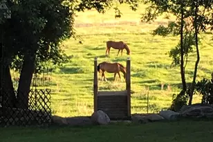 21497 120th St, Glenwood, MN 56334 - Photo 43