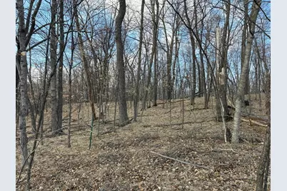 495Xx Fish Lake Rd, Pelican Rapids, MN 56572 - Photo 11