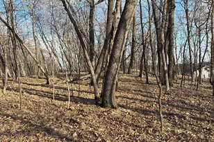 495Xx Fish Lake Rd, Pelican Rapids, MN 56572 - Photo 1