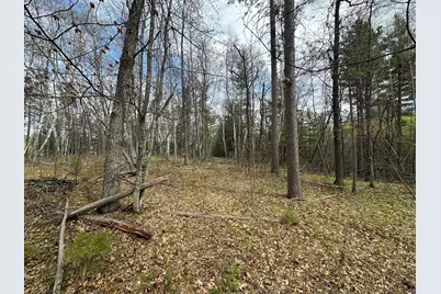 Tbd Dobosenski Road, Sturgeon Lake, MN 55783 - Photo 15