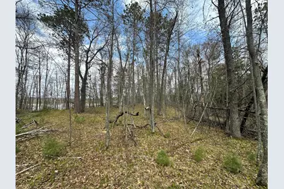 Tbd Dobosenski Road, Sturgeon Lake, MN 55783 - Photo 13