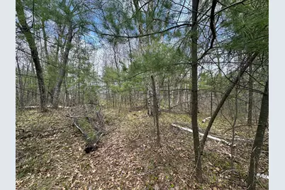 Tbd Dobosenski Road, Sturgeon Lake, MN 55783 - Photo 11