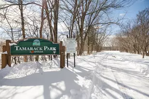 303 Roma Ave, Roseville, MN 55113 - Photo 29