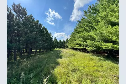 49936 County Highway 54, New York Mills, MN 56567 - Photo 39