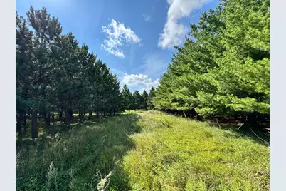49936 County Highway 54, New York Mills, MN 56567 - Photo 39