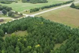 49936 Co Hwy 54, New York Mills, MN 56567 - Photo 1