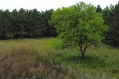 49936 County Highway 54, New York Mills, MN 56567 - Photo 9