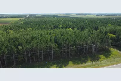 49928 County Highway 54, New York Mills, MN 56567 - Photo 7