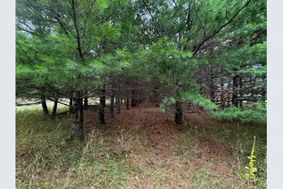 49928 County Highway 54, New York Mills, MN 56567 - Photo 37