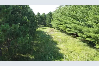 49928 County Highway 54, New York Mills, MN 56567 - Photo 15