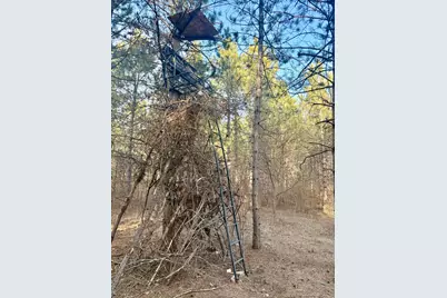 Tbd 64th Street SW, Pequot Lakes, MN 56472 - Photo 35