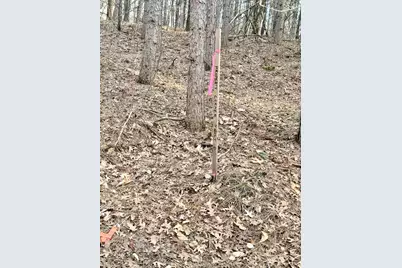 Tbd 64th Street SW, Pequot Lakes, MN 56472 - Photo 29