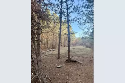 Tbd 64th Street SW, Pequot Lakes, MN 56472 - Photo 3